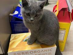 -安安宠医·臻爱宠物医院·宠保定点(营门口路分院)