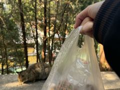 -四门塔风景区