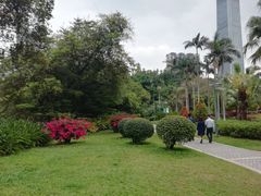 -广州珠江公园