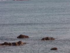 -青岛第三海水浴场