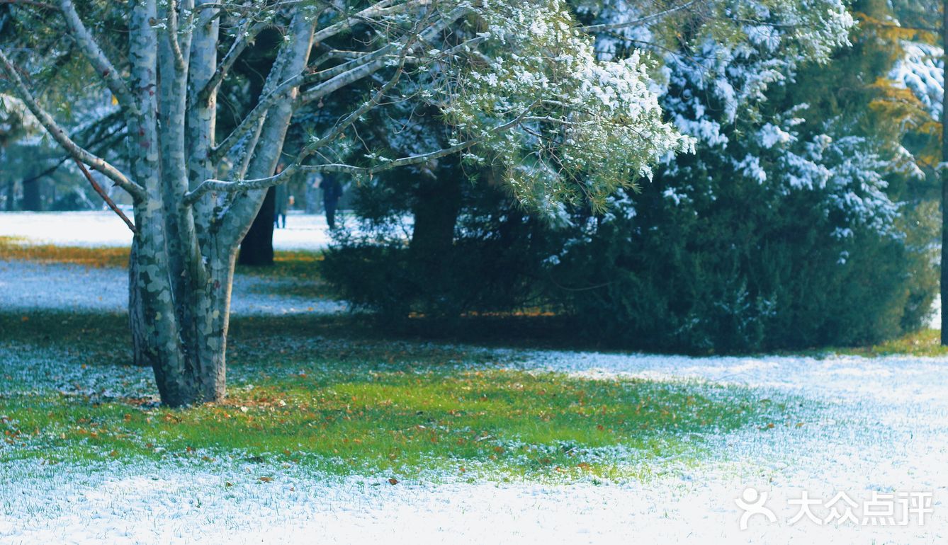 燕园初雪，还有你。