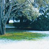 燕园初雪，还有你。