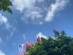 -佛山市中医院(院本部)