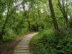 -桤木河湿地公园