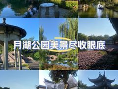 -月湖公园