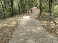 -十里琅珰