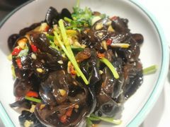 凉拌黑木耳-岳州三毛·钻石卤虾(润泽园店)