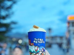 -布达拉宫