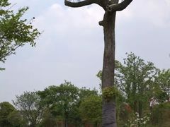 -桃园农庄·桃源宴