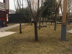 -唐城墙遗址公园