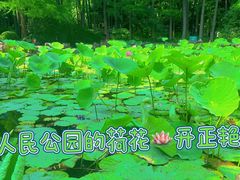 -人民公园-相亲角