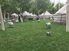 -九十九顶毡房(阜石路店)