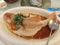 东星斑-东江渔村·古典园林·30年粤菜老字号(太和店)