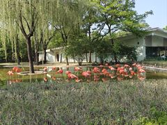 -石家庄市动物园