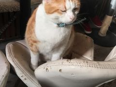 -小时光咖啡馆(北锣鼓巷店)