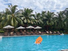 -三亚海棠湾喜来登度假酒店
