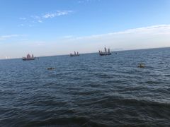 -贡湖湾湿地公园
