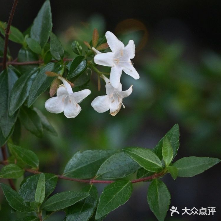 昌平路航创园区藏着一个小摩洛哥