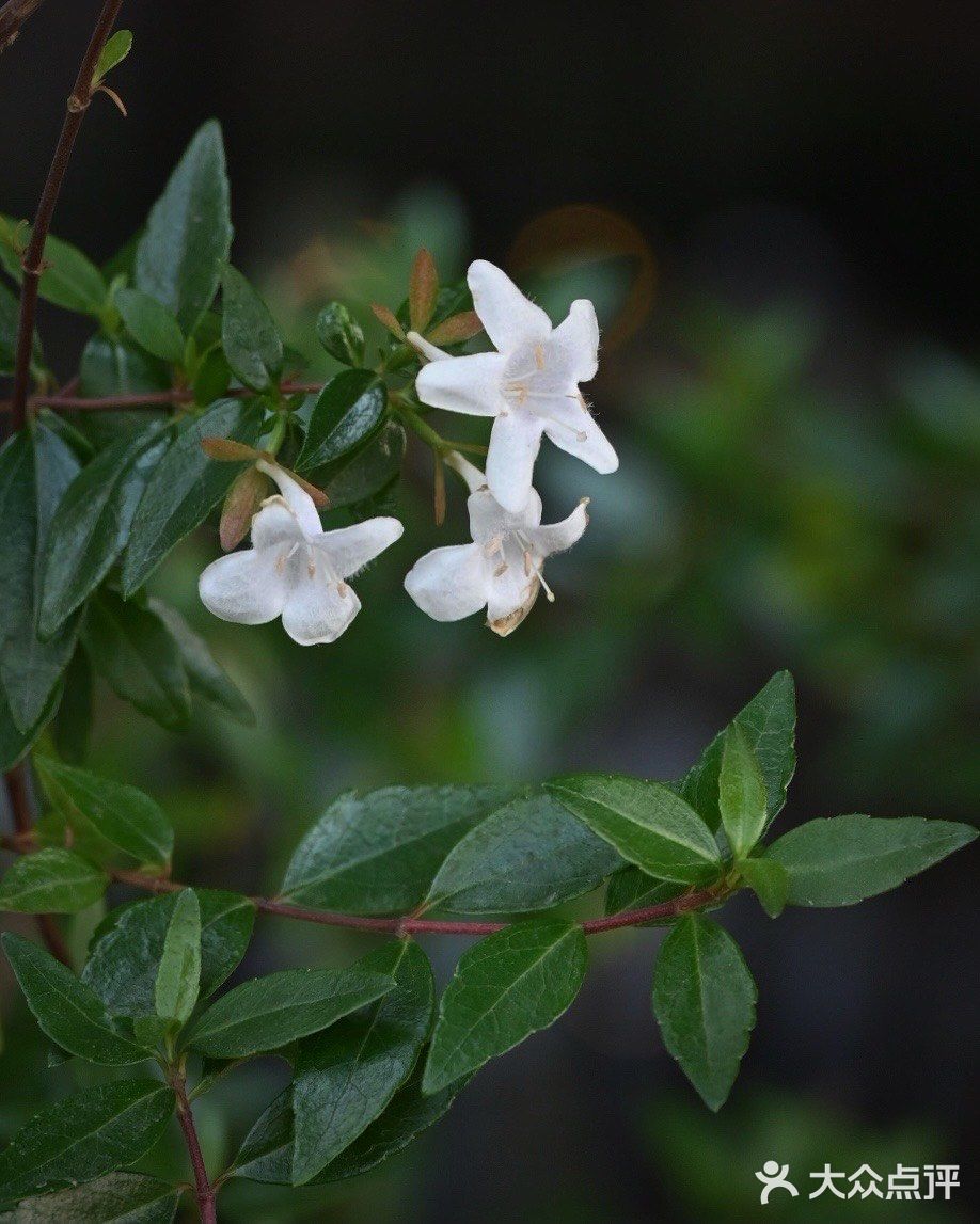 昌平路航创园区藏着一个小摩洛哥