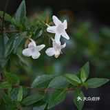 昌平路航创园区藏着一个小摩洛哥