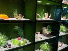 -慢丽江·云南野生菌土鸡锅(西山店)