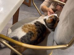 -后海16号·北京私房菜