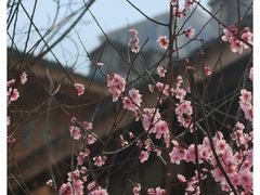 -重庆十八梯传统风貌区