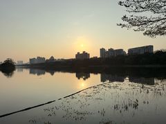 -南宁南湖公园