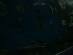 -上海海洋水族馆-停车场