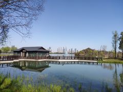 -渤公岛生态公园