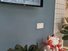 -柏萃动物医院·骨科·牙科