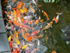 -上海大自然野生昆虫馆(东方明珠·爬宠昆虫探索中心)