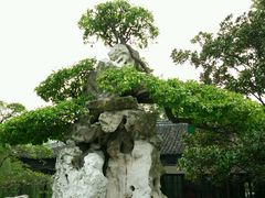 -水绘园