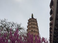 -白塔山公园