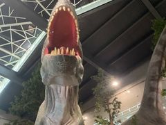 -湖南省地质博物馆