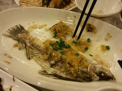 -金城大酒店-中餐厅(汾江中路店)