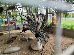 -广东花都香草世界旅游度假区