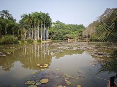 -中国科学院西双版纳热带植物园