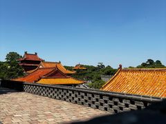 -北陵公园