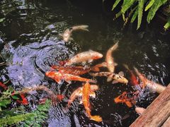-成都杜甫草堂博物馆