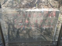 -双清别墅
