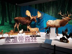 -中国湿地博物馆