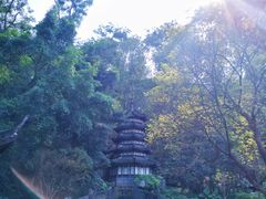 -深圳国际园林花卉博览园