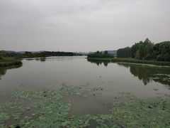 -东湖落雁景区