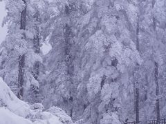-瓦屋山景区
