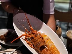 潮式冻龙虾-陈鹏鹏潮汕菜(欢乐海岸 海边景观店)