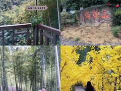 -山沟沟景区