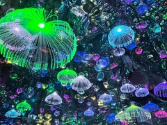 -上海梵高星空艺术馆(南京路旗舰店)
