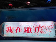-重庆欢乐海底世界