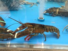 -盒马鲜生(大成店)